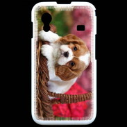 Coque Samsung ACE S5830 Chiot Cavalier King Charles 1