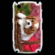 Coque Blackberry 8520 Chiot Cavalier King Charles 1