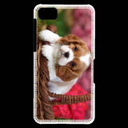 Coque Blackberry Z10 Chiot Cavalier King Charles 1