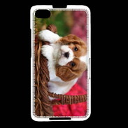 Coque Blackberry Z30 Chiot Cavalier King Charles 1