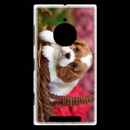 Coque Nokia Lumia 830 Chiot Cavalier King Charles 1