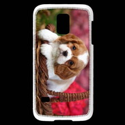 Coque Samsung Galaxy S5 Mini Chiot Cavalier King Charles 1