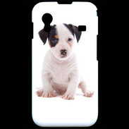 Coque Samsung ACE S5830 Jack russel terrier puppy 820