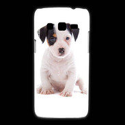 Coque Samsung Galaxy Express2 Jack russel terrier puppy 820