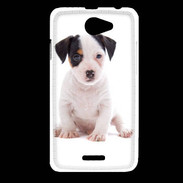 Coque HTC Desire 516 Jack russel terrier puppy 820
