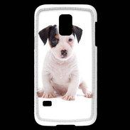 Coque Samsung Galaxy S5 Mini Jack russel terrier puppy 820