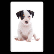 Etui carte bancaire Jack russel terrier puppy 820