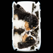 Coque Blackberry 8520 Chiot Saint Bernard