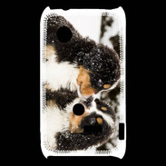 Coque Sony Xperia Typo Chiot Saint Bernard