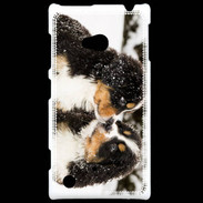 Coque Nokia Lumia 720 Chiot Saint Bernard