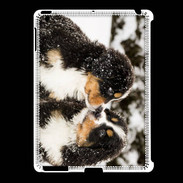 Coque iPad 2/3 Chiot Saint Bernard