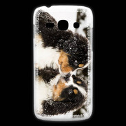 Coque Samsung Galaxy Ace3 Chiot Saint Bernard