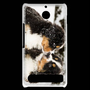 Coque Sony Xperia E1 Chiot Saint Bernard