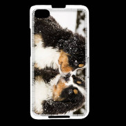 Coque Blackberry Z30 Chiot Saint Bernard