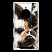 Coque Nokia Lumia 830 Chiot Saint Bernard