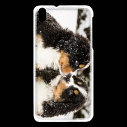 Coque HTC Desire 816 Chiot Saint Bernard