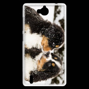 Coque Huawei Ascend G740 Chiot Saint Bernard