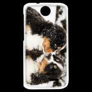 Coque HTC Desire 310 Chiot Saint Bernard