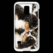 Coque Samsung Galaxy S5 Mini Chiot Saint Bernard