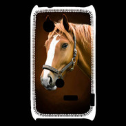 Coque Sony Xperia Typo Portrait de cheval en peinture
