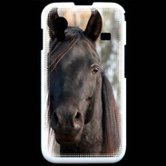 Coque Samsung ACE S5830 Tête de cheval noir