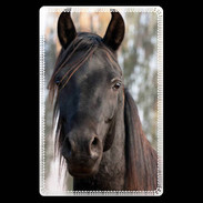 Etui carte bancaire Tête de cheval noir