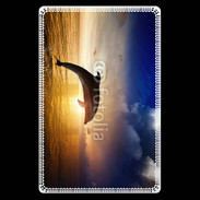 Etui carte bancaire Saut de Dauphin 750