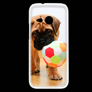 Coque HTC One Mini 2 Bull mastiff chiot