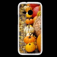 Coque HTC One Mini 2 Citrouilles