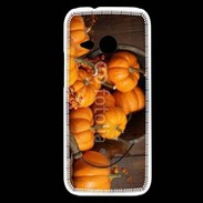 Coque HTC One Mini 2 Citrouilles 2