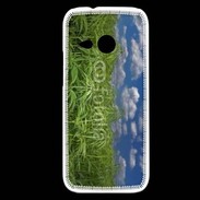 Coque HTC One Mini 2 Champs de cannabis