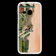 Coque HTC One Mini 2 Agility Golden retriever