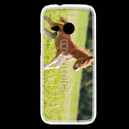 Coque HTC One Mini 2 Poulain 2