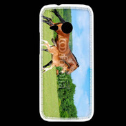 Coque HTC One Mini 2 Cheval et poulain 2