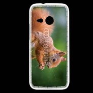 Coque HTC One Mini 2 Ecureuil avec des noisettes