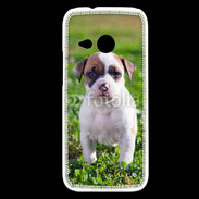 Coque HTC One Mini 2 Chiot American Staffordshire terrier 
