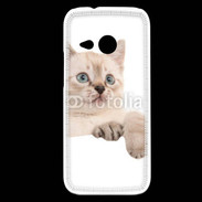 Coque HTC One Mini 2 Petit chaton en portrait