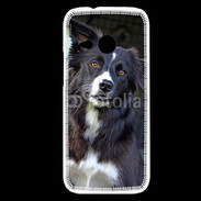 Coque HTC One Mini 2 Border collie 500