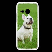 Coque HTC One Mini 2 Bulldog français 500