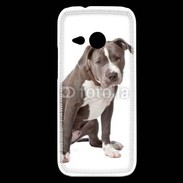 Coque HTC One Mini 2 American staffordshire bull terrier