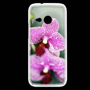 Coque HTC One Mini 2 Belle Orchidée PR 50