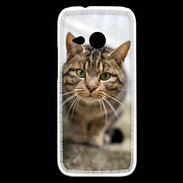 Coque HTC One Mini 2 Portrait de chat PR