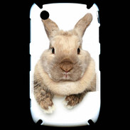 Coque Blackberry 8520 Portrait de lapin
