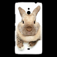 Coque Nokia Lumia 1320 Portrait de lapin