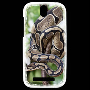 Coque HTC One SV Serpent Python Royal