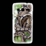 Coque Samsung Galaxy Express2 Serpent Python Royal