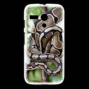 Coque Motorola G Serpent Python Royal