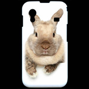 Coque Samsung ACE S5830 Portrait de lapin
