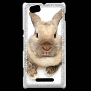Coque Sony Xperia M Portrait de lapin