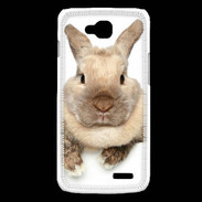 Coque LG L90 Portrait de lapin